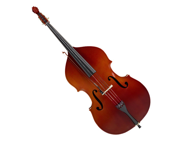 rotbraunes Kontrabass auf weißem Hintergrund