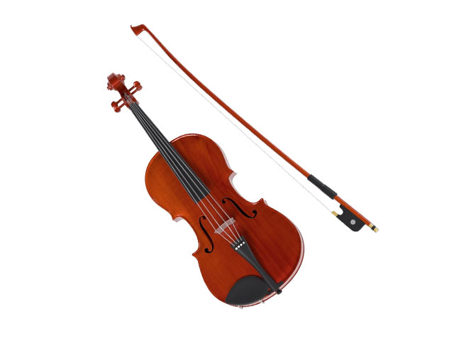 Rotbraune Viola auf weißem Hintergrund