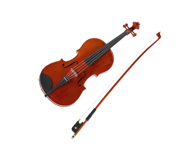 Rotbraune Viola auf weißem Hintergrund